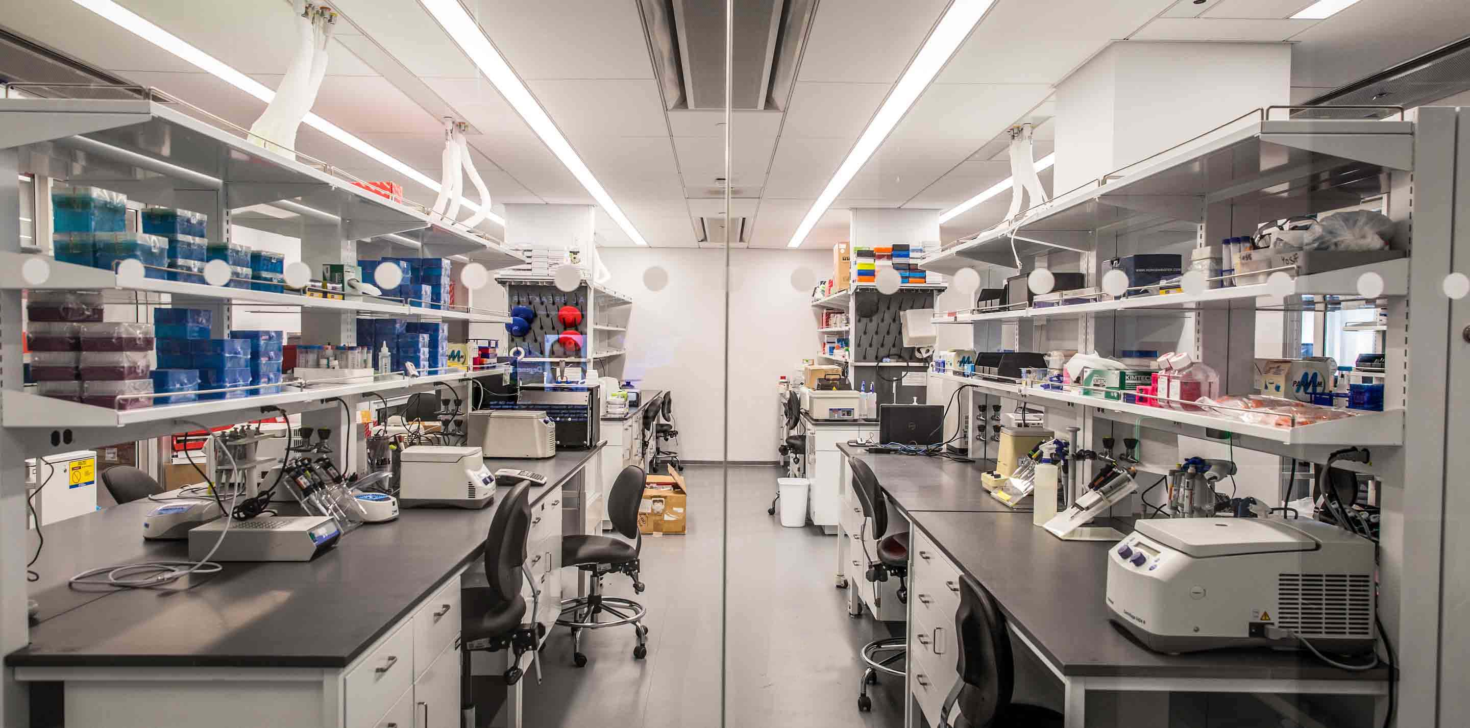 New York Stem Cell Research Regenerative Medicine Foundation