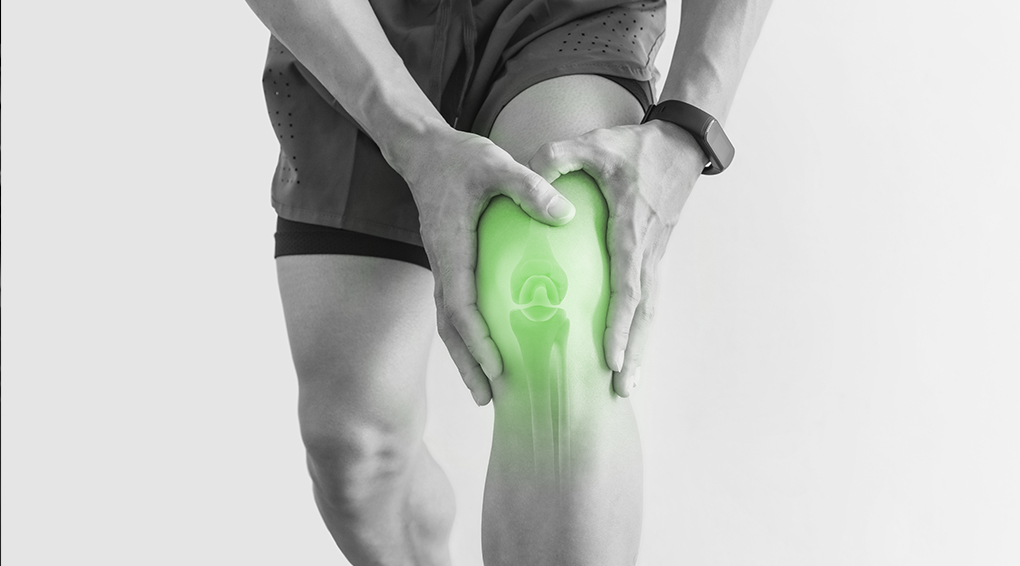ACL Reconstruction 8 Key Points in Rehabilitation RehabU BLOG