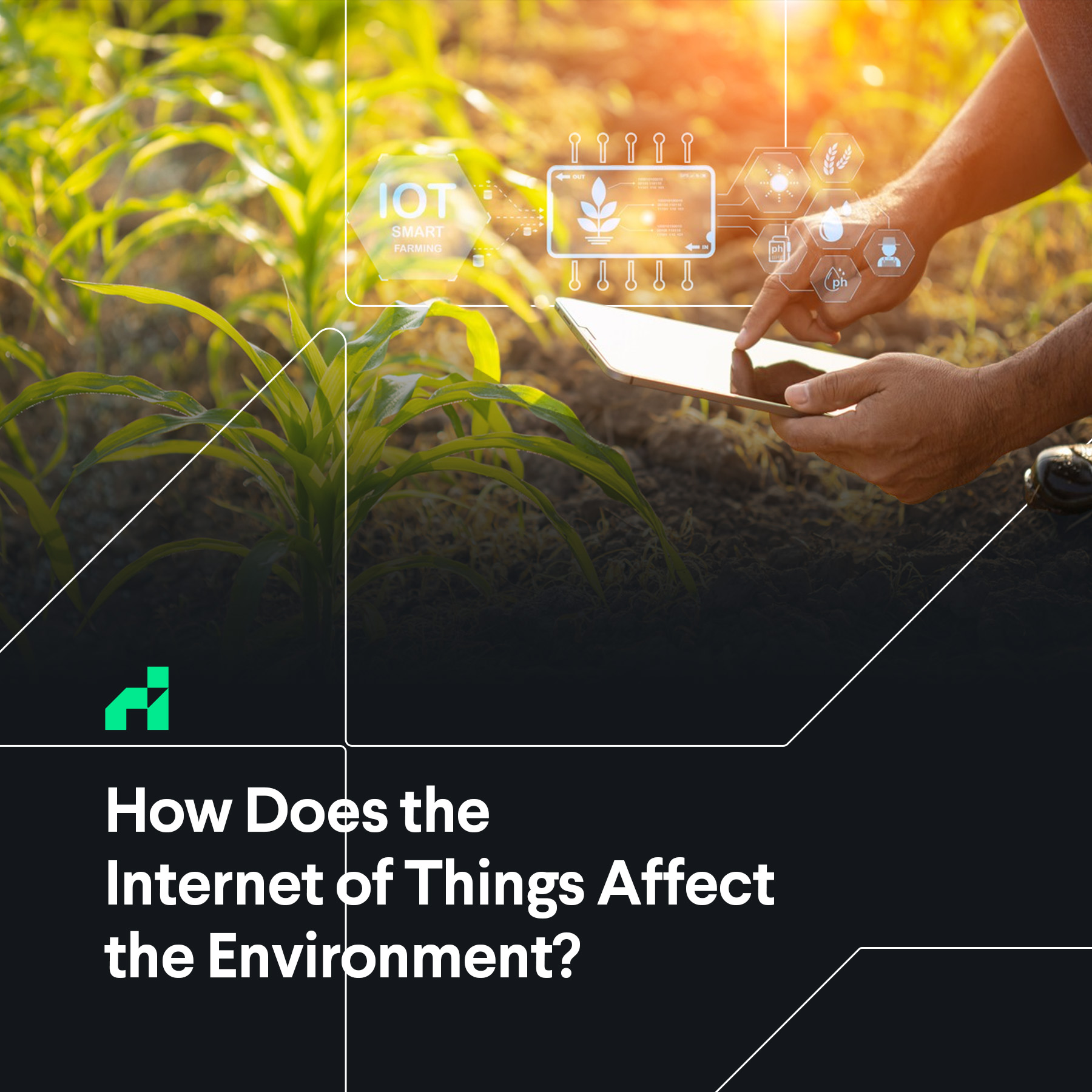 How Does the of Things Affect the Environment? ReHack