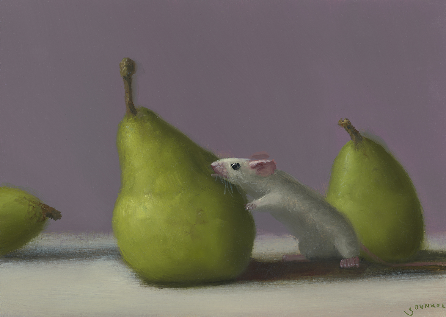 Licking Test Stuart Dunkel Rehs Contemporary