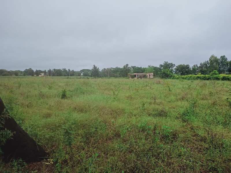 1 Acre Agricultural/Farm Land for Sale in Thalli, Hosur