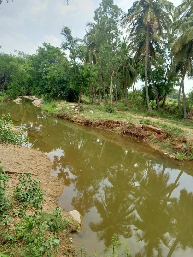 20 Ares Agricultural/Farm Land for Sale in Denkanikottai Road, Hosur