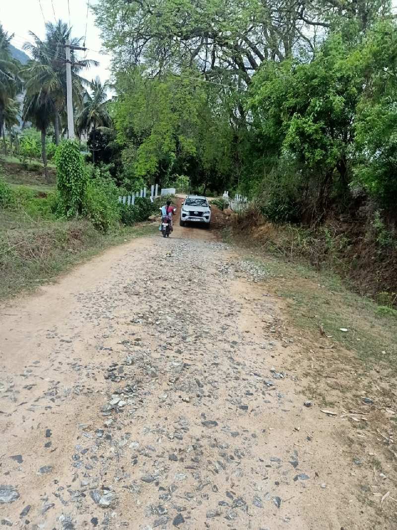 20 Ares Agricultural/Farm Land for Sale in Denkanikottai Road, Hosur