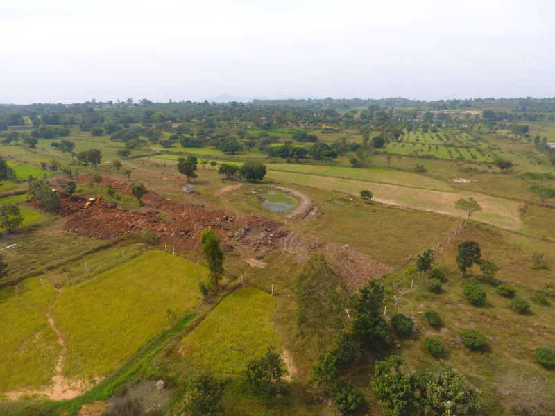 1 Acre Agricultural/Farm Land for Sale in Denkanikottai, Hosur