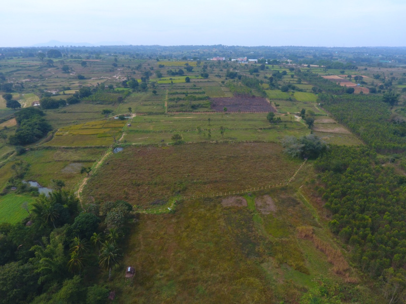 50 Cent Agricultural/Farm Land for Sale in Denkanikottai, Hosur