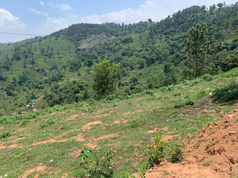1.5 Acre Residential Plot for Sale in Coonoor, Nilgiris