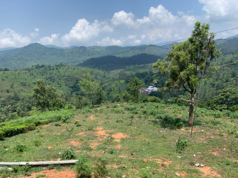1.5 Acre Residential Plot for Sale in Coonoor, Nilgiris