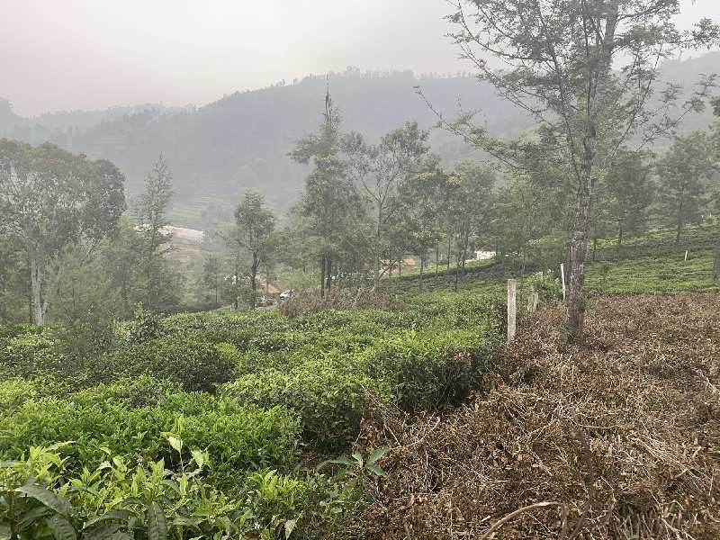 1 Acre Residential Plot for Sale in Coonoor, Nilgiris