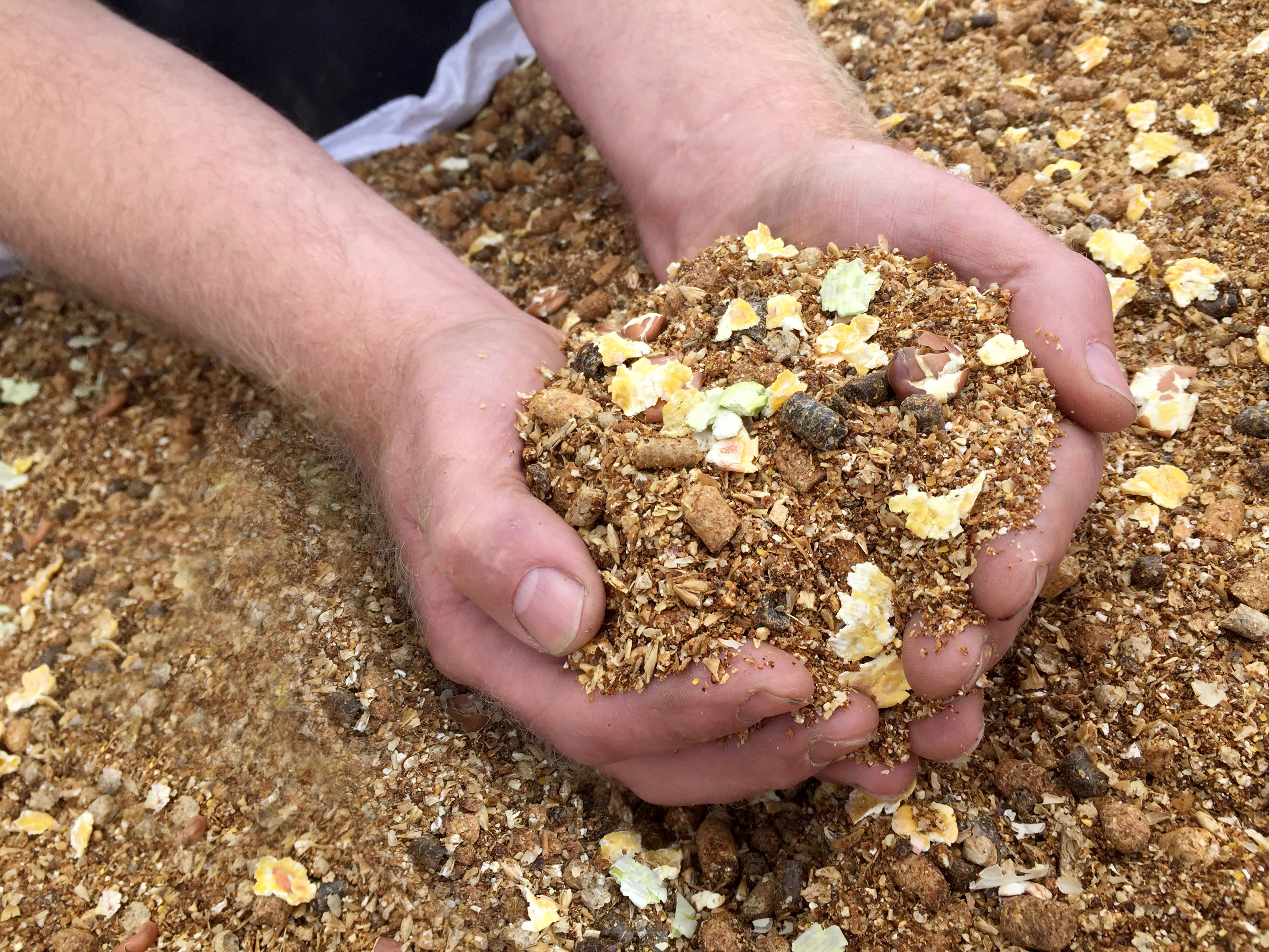 Reid Feeds Calf & Beef Blends