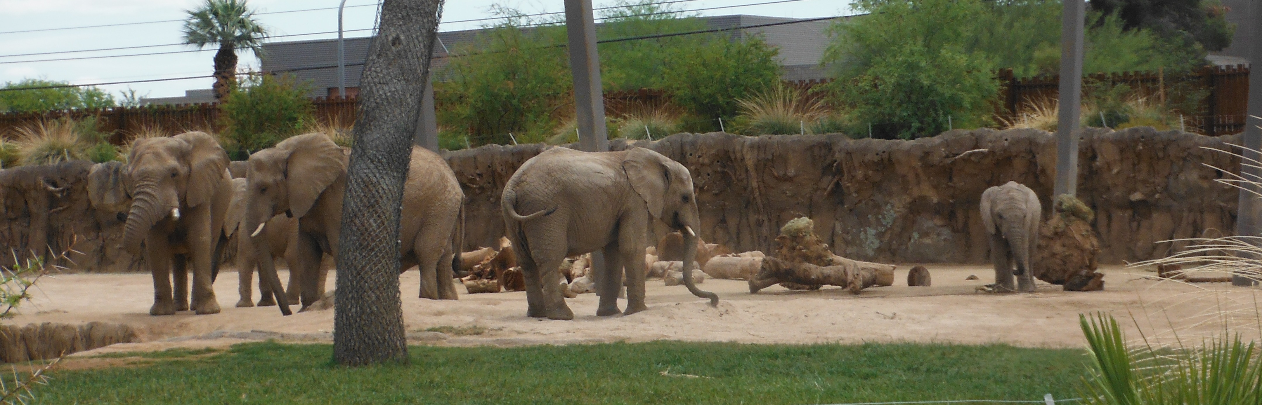Reid Park Zoo Hosted Tour Johannesburg, Swaziland, and Kruger Reid