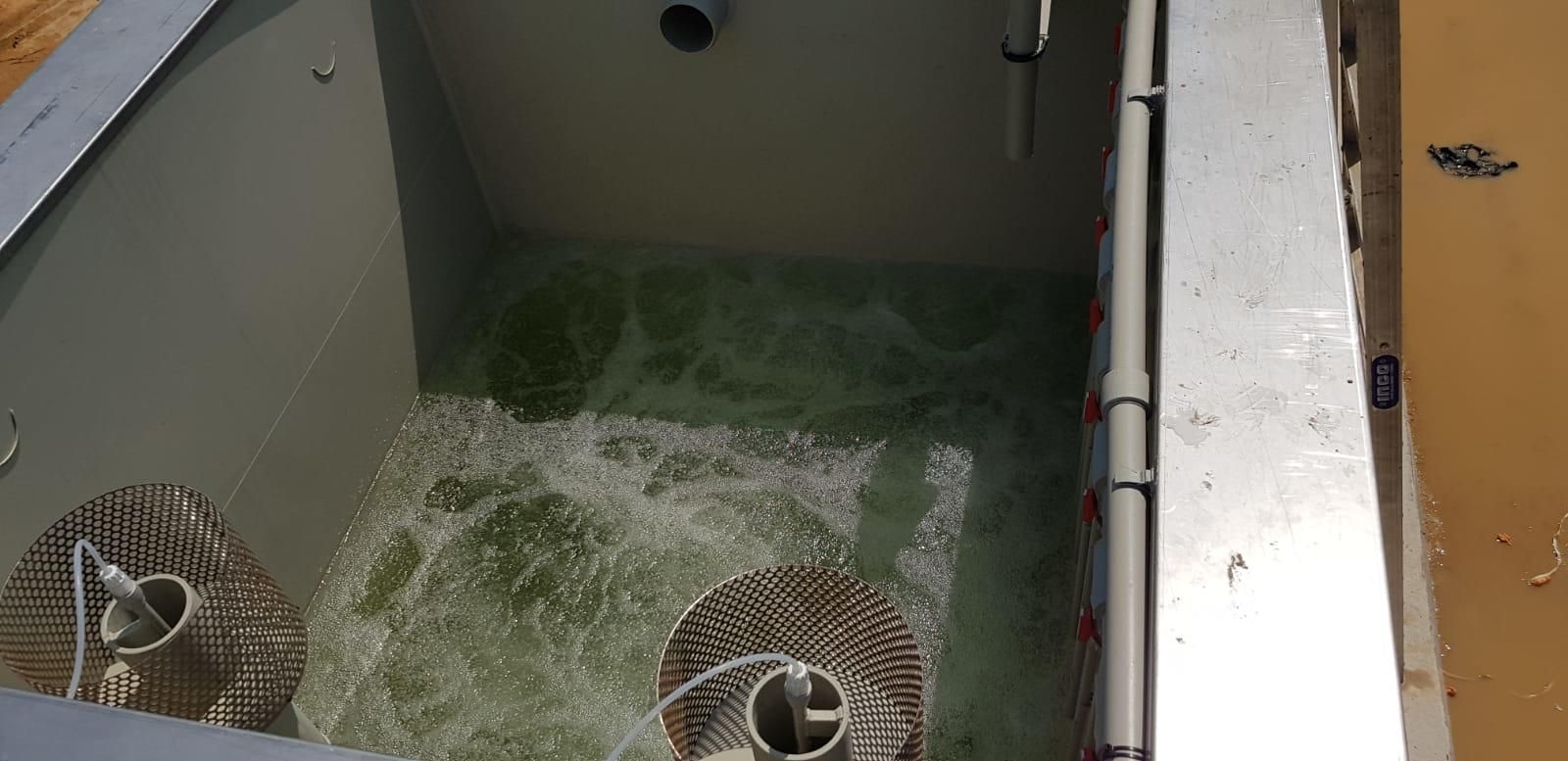 Harnessing Innovation Exploring MBBR Systems for Wastewater Treatment