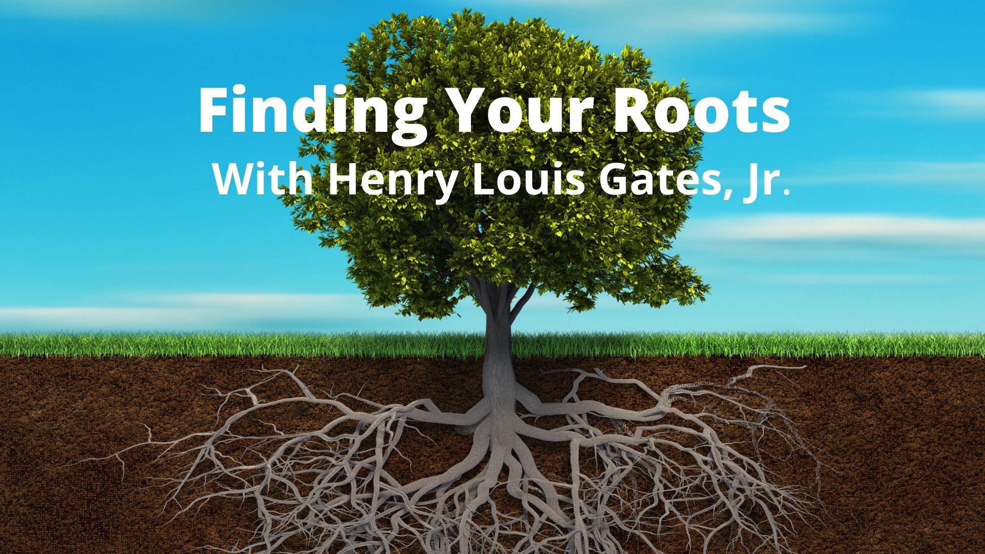 Finding Your Roots