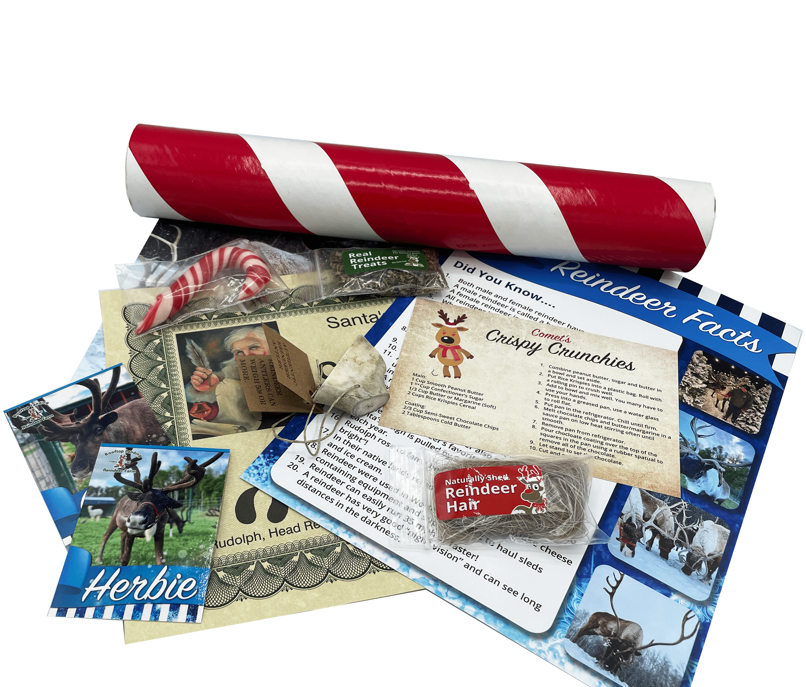 Santa's Candy Cane Mailer ReindeerCam