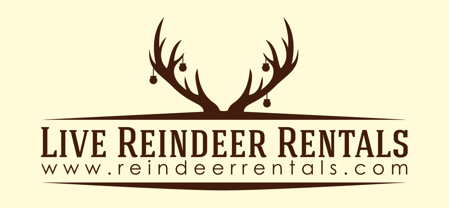 Live Reindeer Rentals Florida