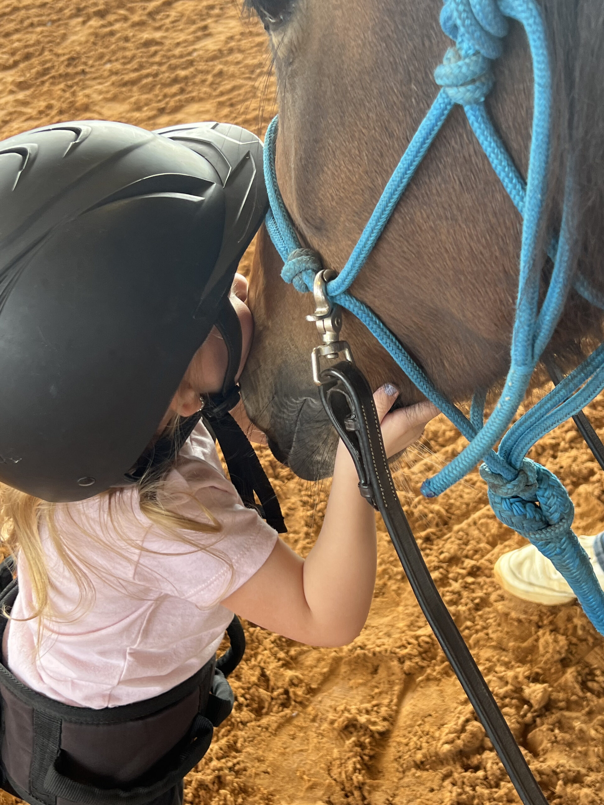 Gallery Reins of Hope