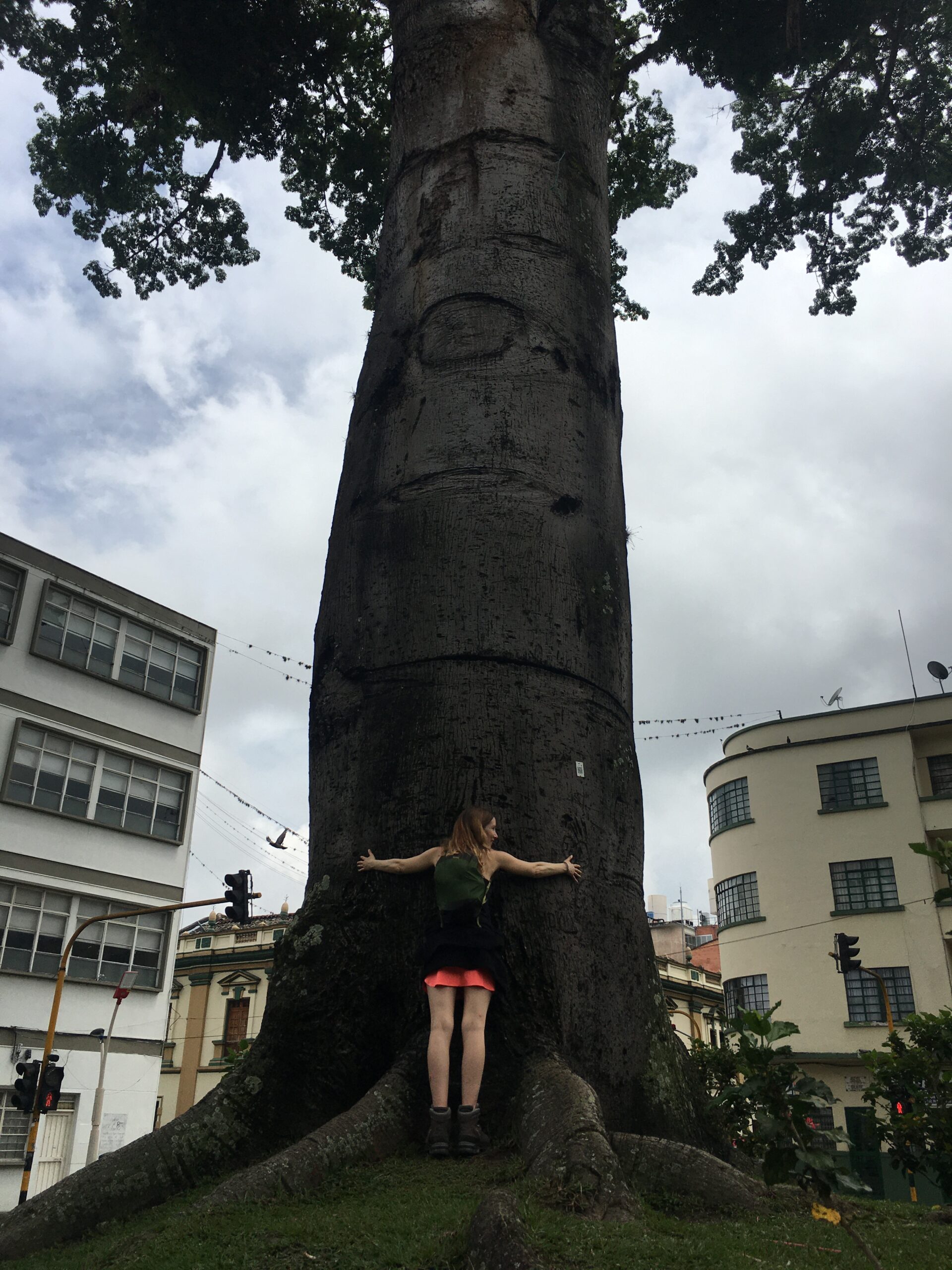 Ibagué reisekun.de