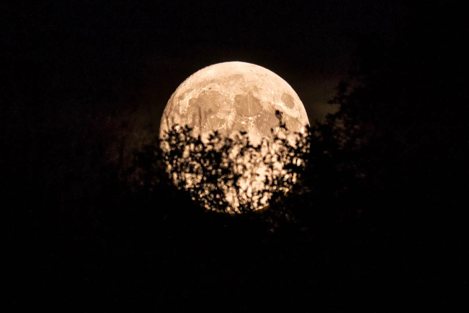 Tutorial Wie fotografierst du den Mond? So mache ich es...