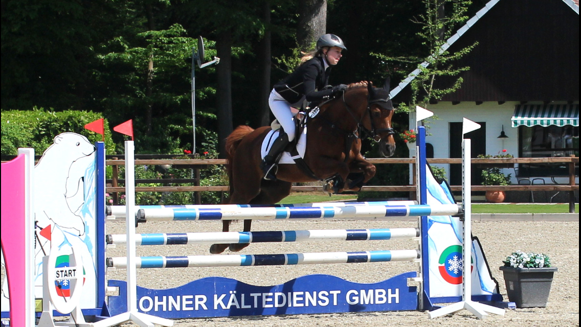 Anzeige Springpony zu verkaufen! reitturniere.de News Ergebnisse