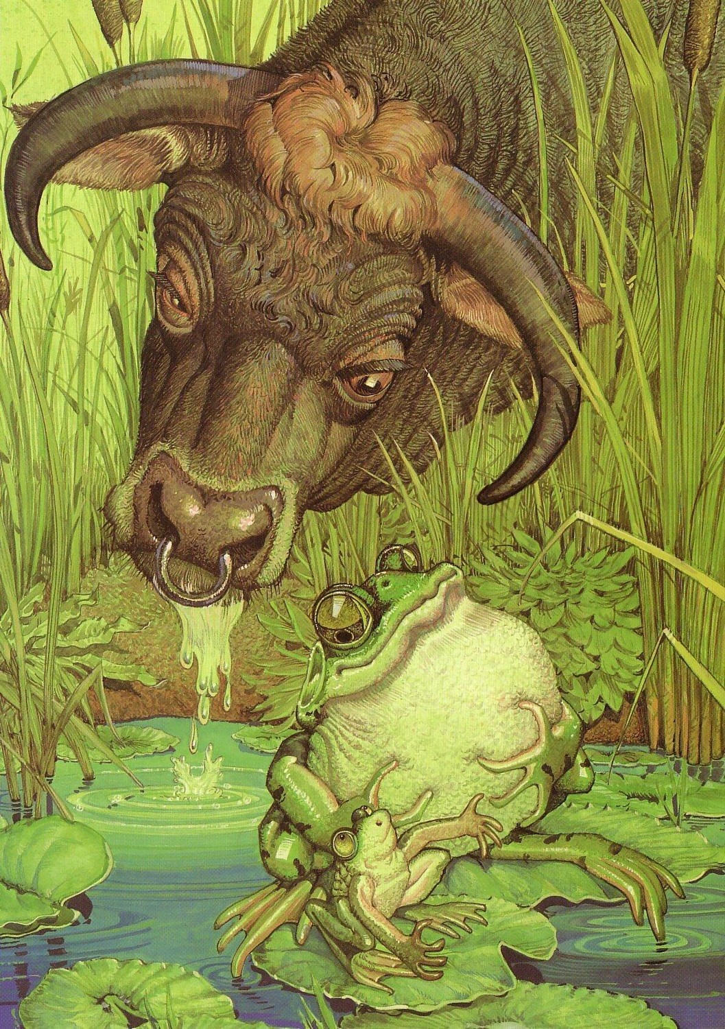 Басня Лягушка и вол текст распечатать. Крылов Школа и ВУЗ Народный