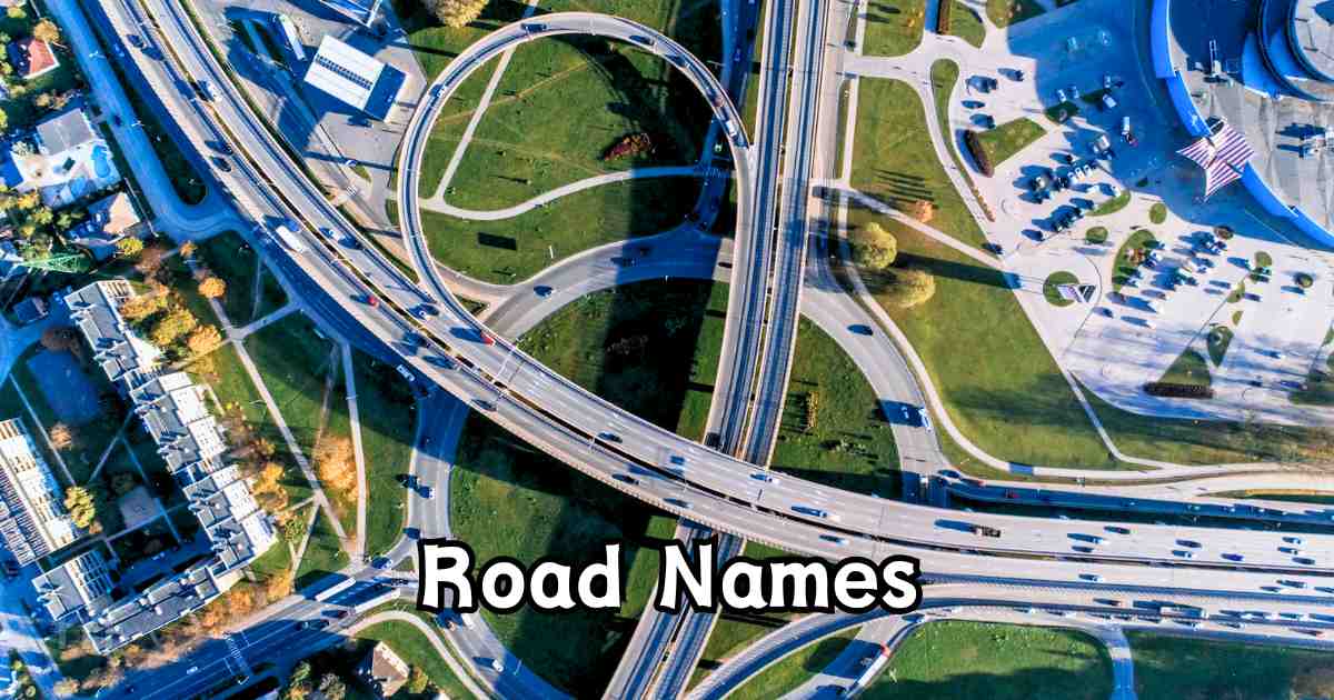 Best Names for Road in 2024