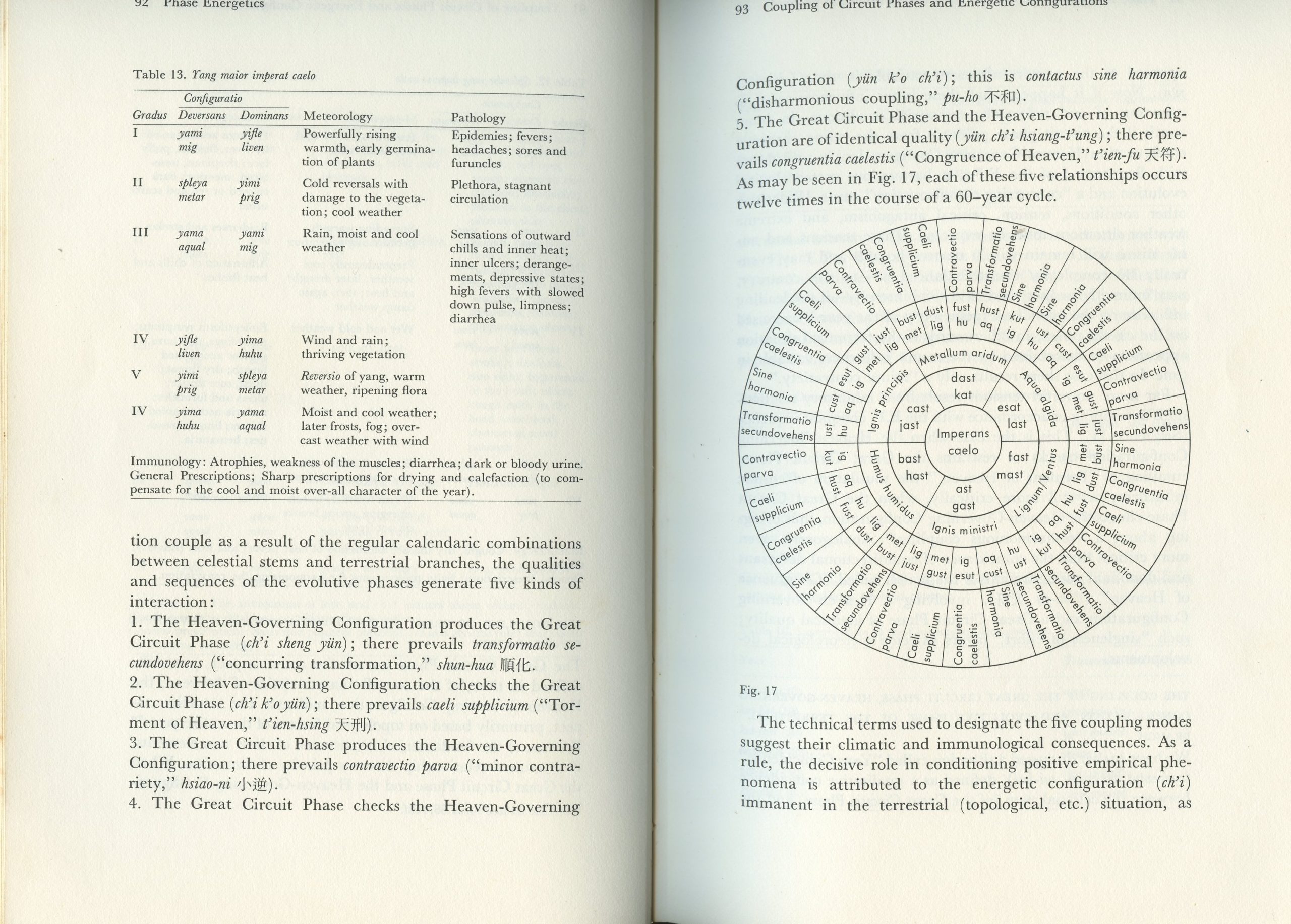 The theoretical foundations of Chinese medicine systems of