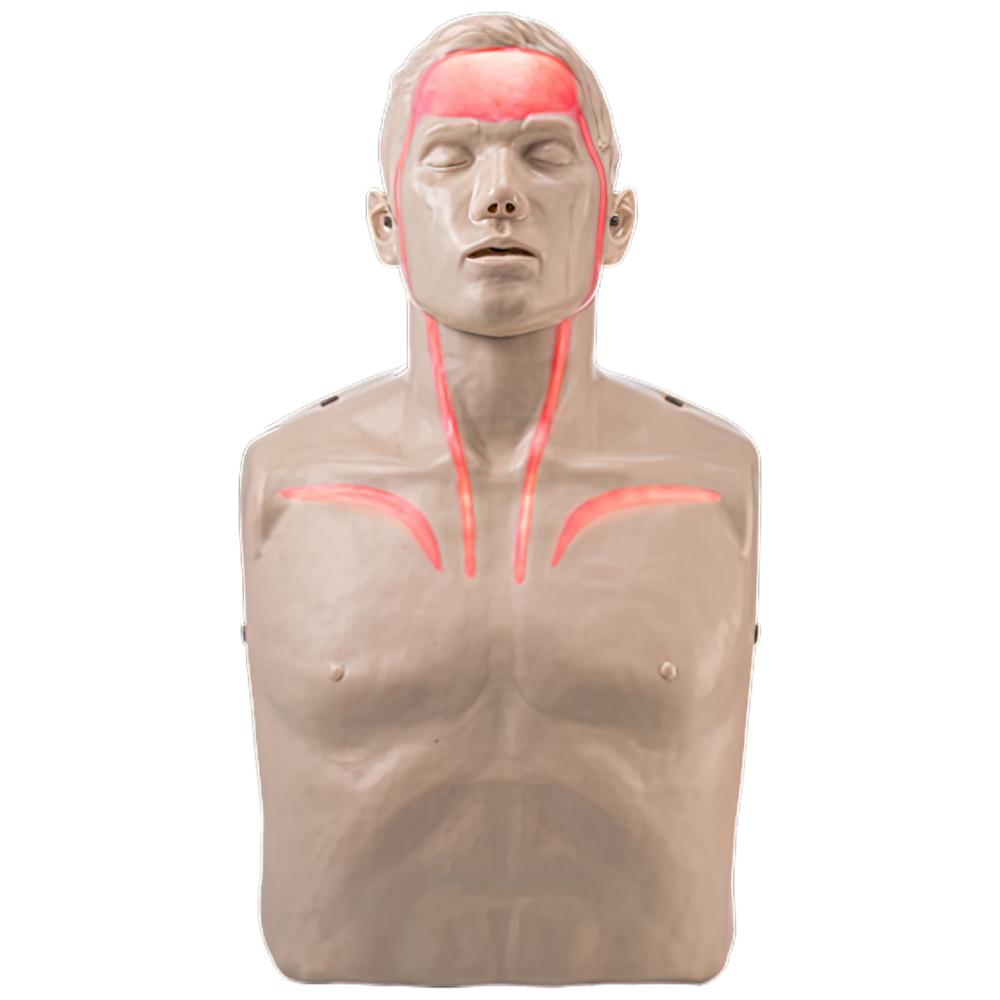 Brayden Pulse CPR Manikin (With Lights) Relaxed Care