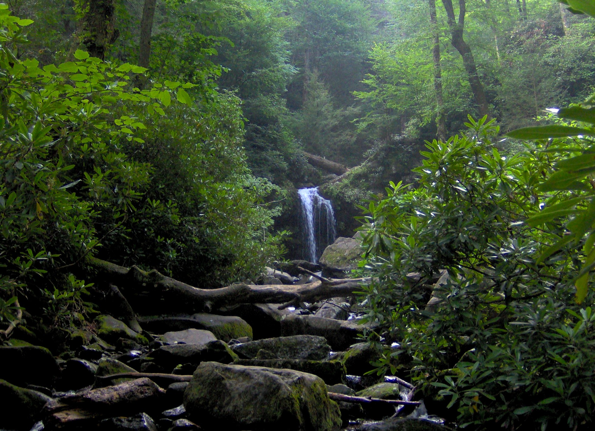 Roaring Fork Motor Nature Trail Relax Gatlinburg