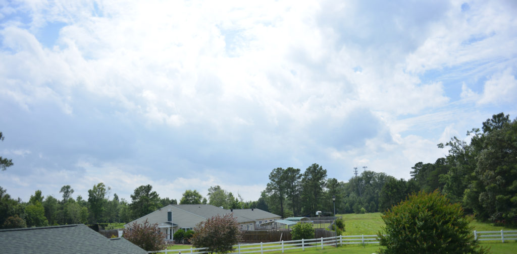 Pet Resort at Green Springs Relax Williamsburg