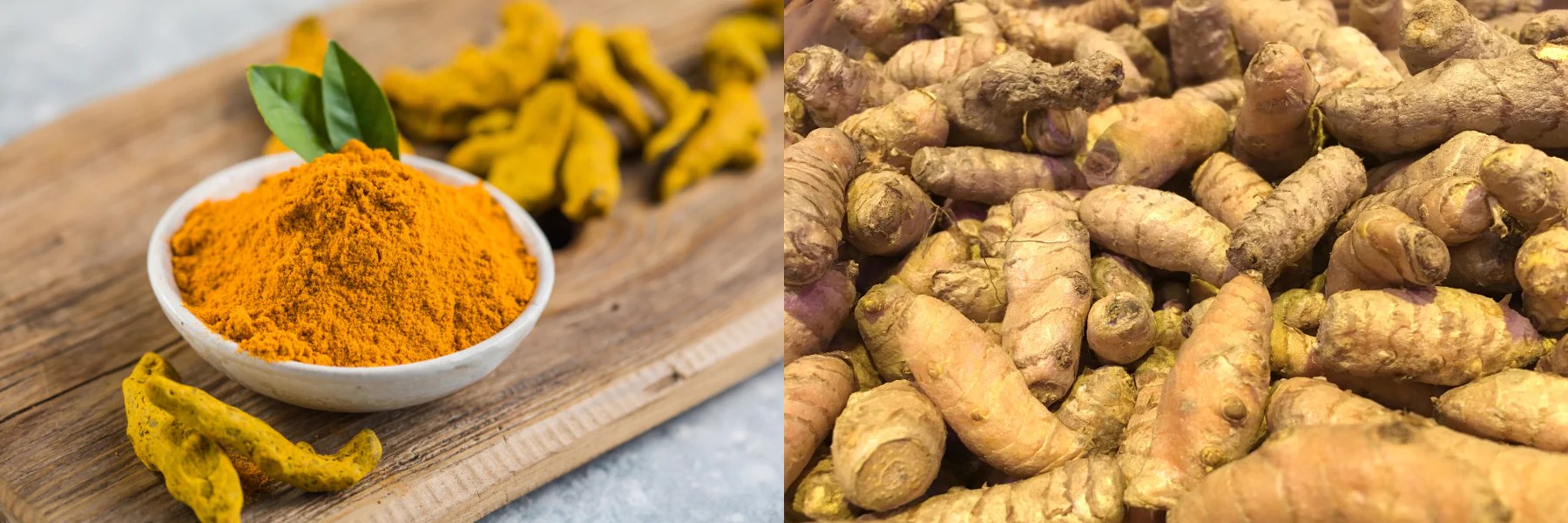 Turmeric The Spice of Life and a Staple in Herbal Medicine Releaf