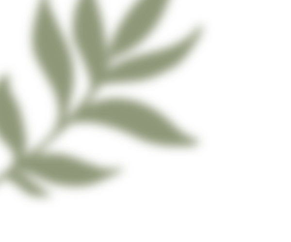 ReLeaf Plant Market Happy Healthy Houston Houseplants