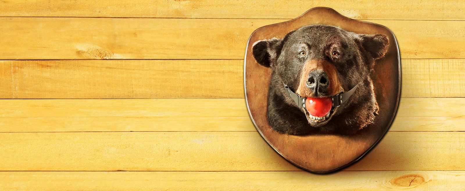 When Does The Guest Book Season 2 Start? Premiere Date (Cancelled or