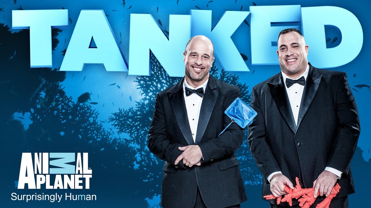 When Does Tanked Season 14 Start? Animal Release Date (March