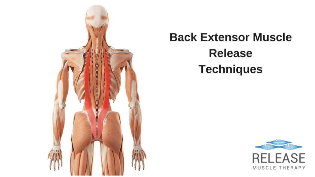 Back Extensor Release Techniques