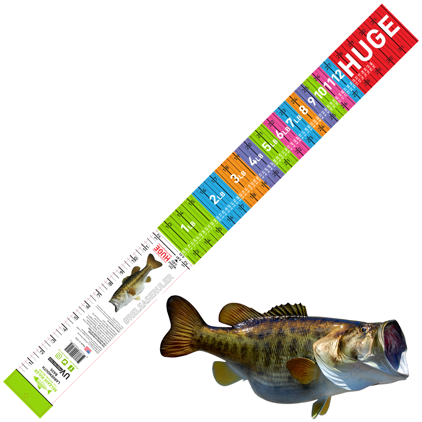Largemouth Bass Ruler Wide Series Release Ruler