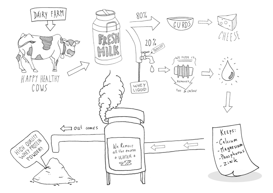 Types of Whey Protein A Buyers Guide Relentless Gains