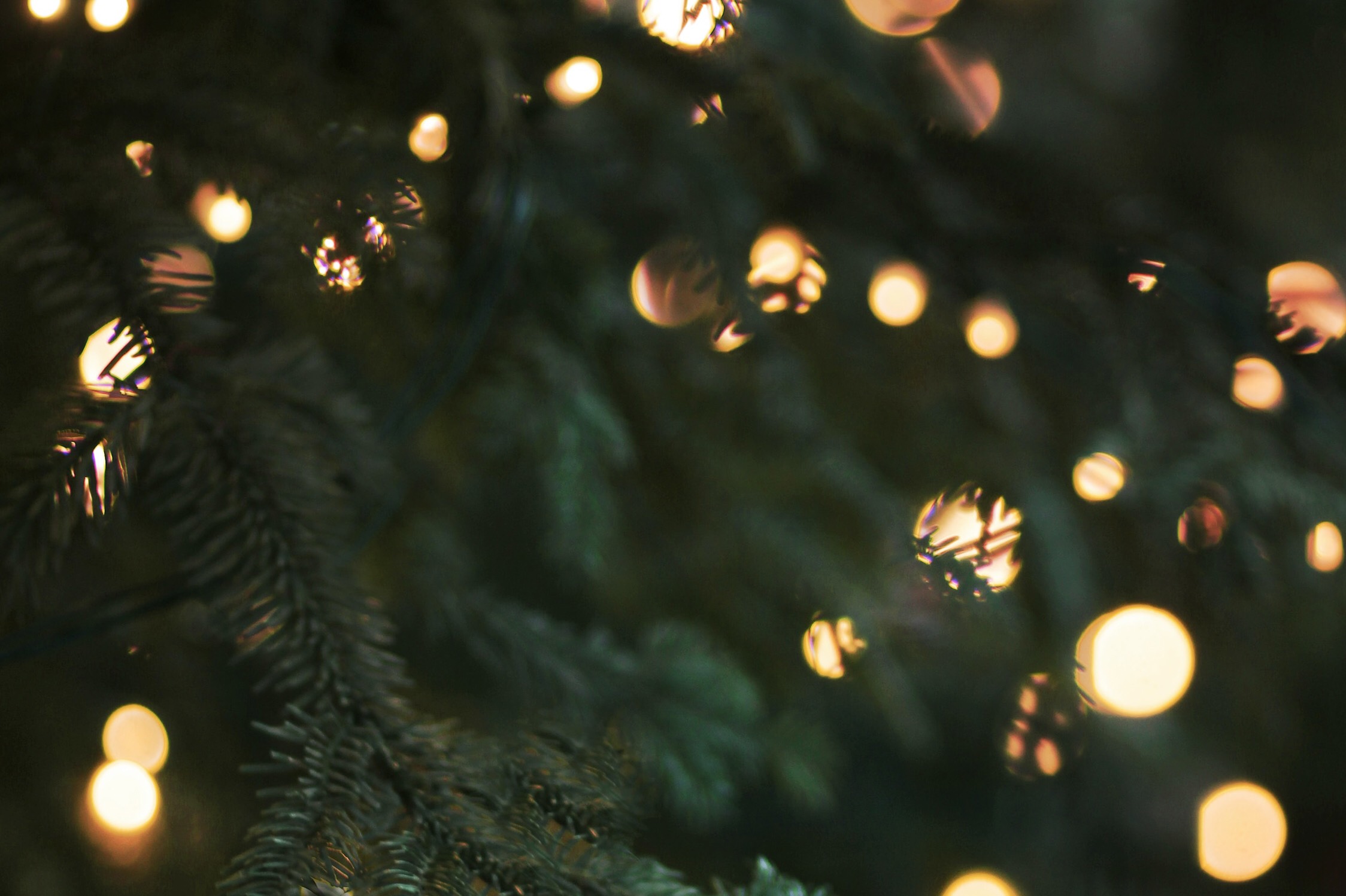 Did Christmas Really Start as a Pagan Holiday? RELEVANT