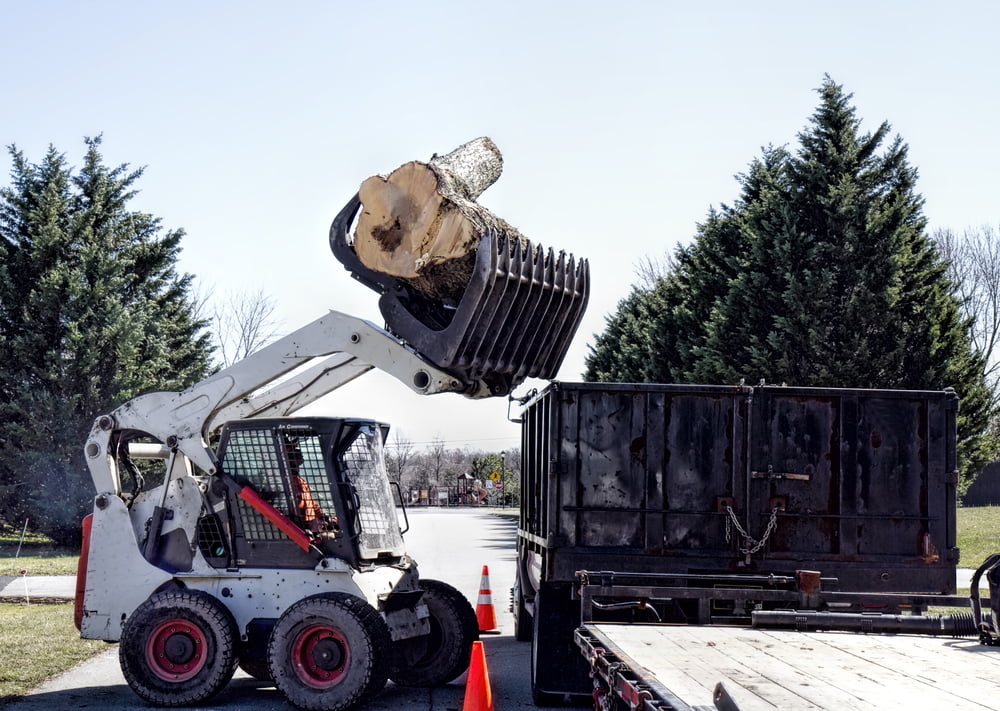 Do You Need A Permit For Tree Removal In Utah Reliable Tree Care