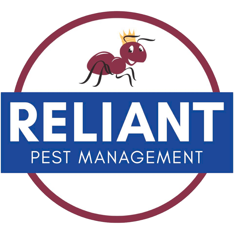 Exterminator, Pest & Rodent Control Services Cary, Raleigh & Holly