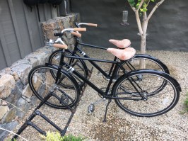 Bikes for Exploring