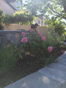 Spring has sprung!