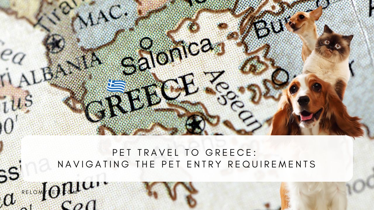 Pet Travel to Greece Pet Entry Requirements Relopet International