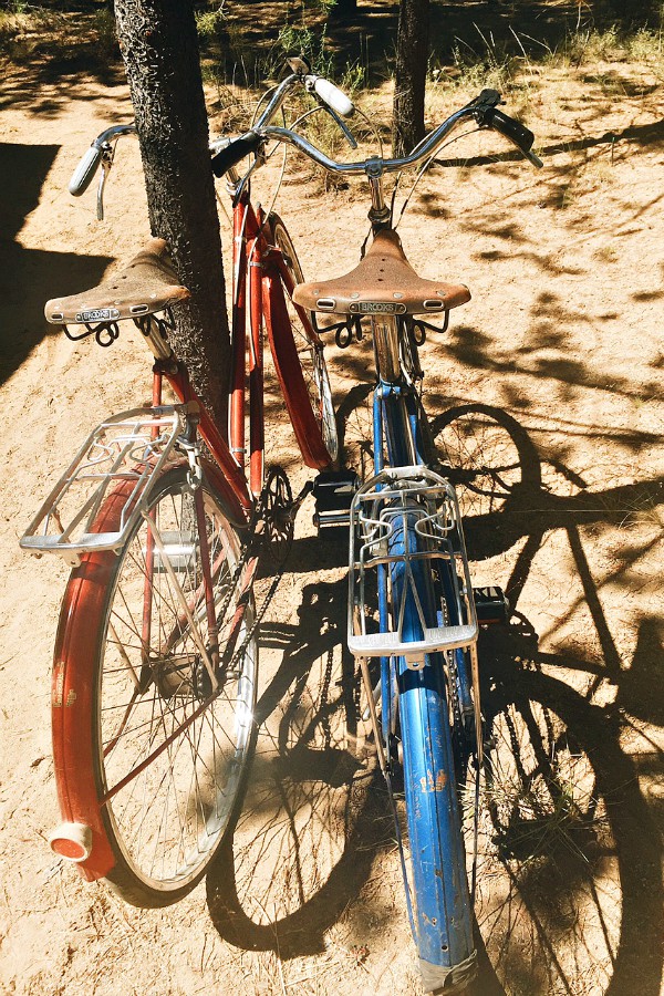 Yellow Squash Zoodles with Meatballs Reluctant Entertainer