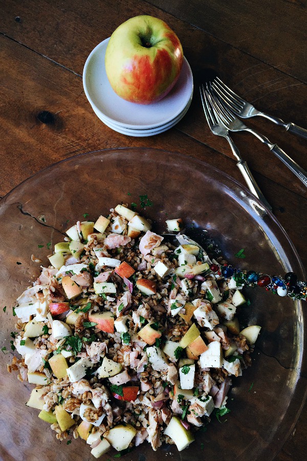 Farro Apple Mozzarella Salad Reluctant Entertainer