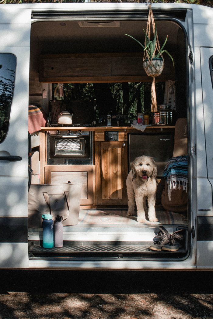 best sprinter van conversion