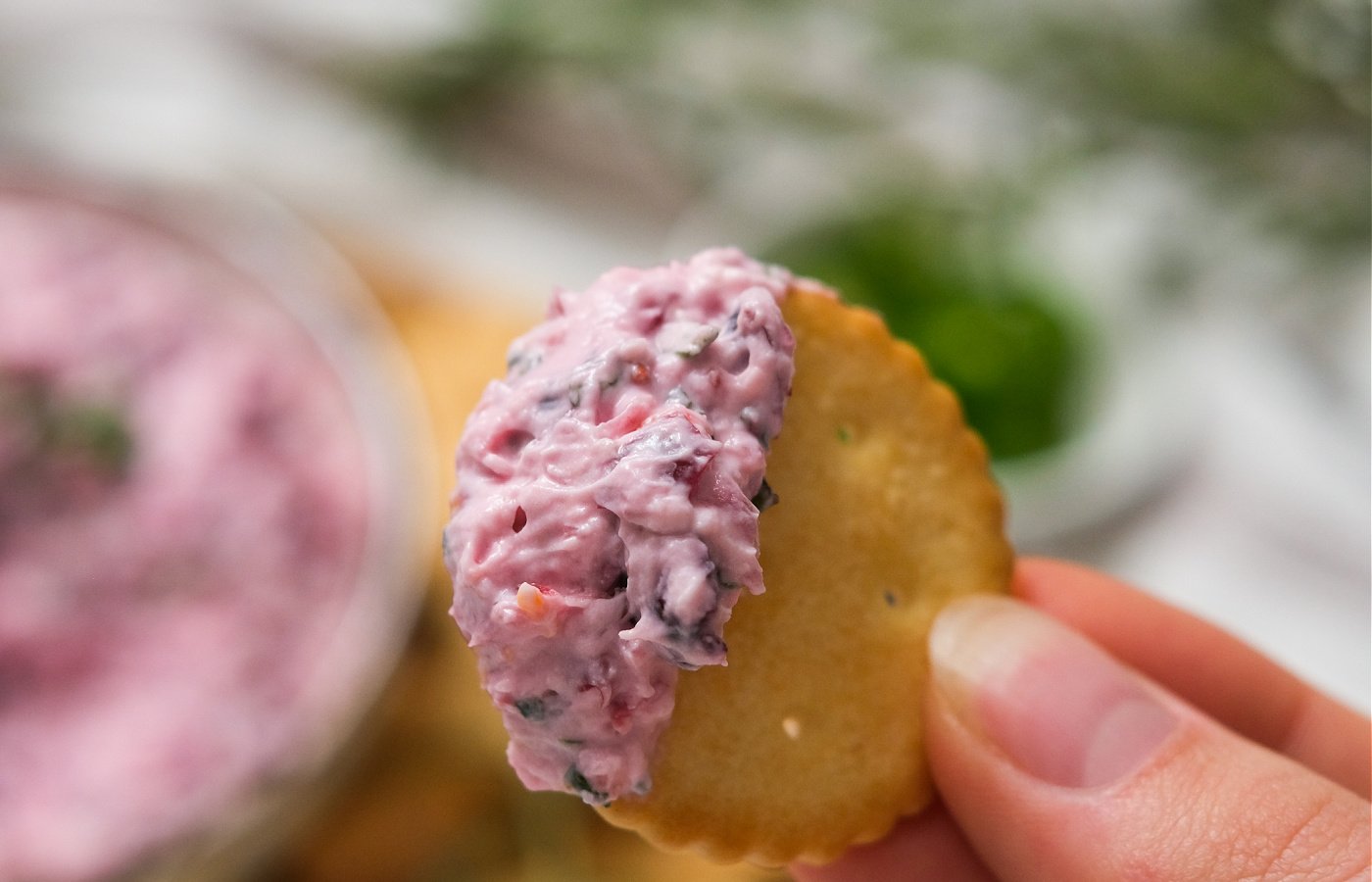 Cranberry Jalapeno Dip Reluctant Entertainer