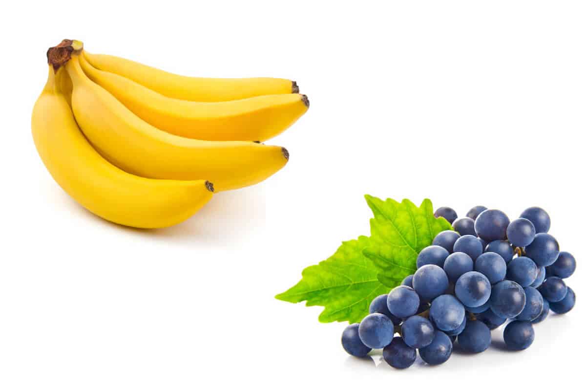 Would A Banana A Day Knock Me Out Of Ketosis? Reluctant Low Carb Life