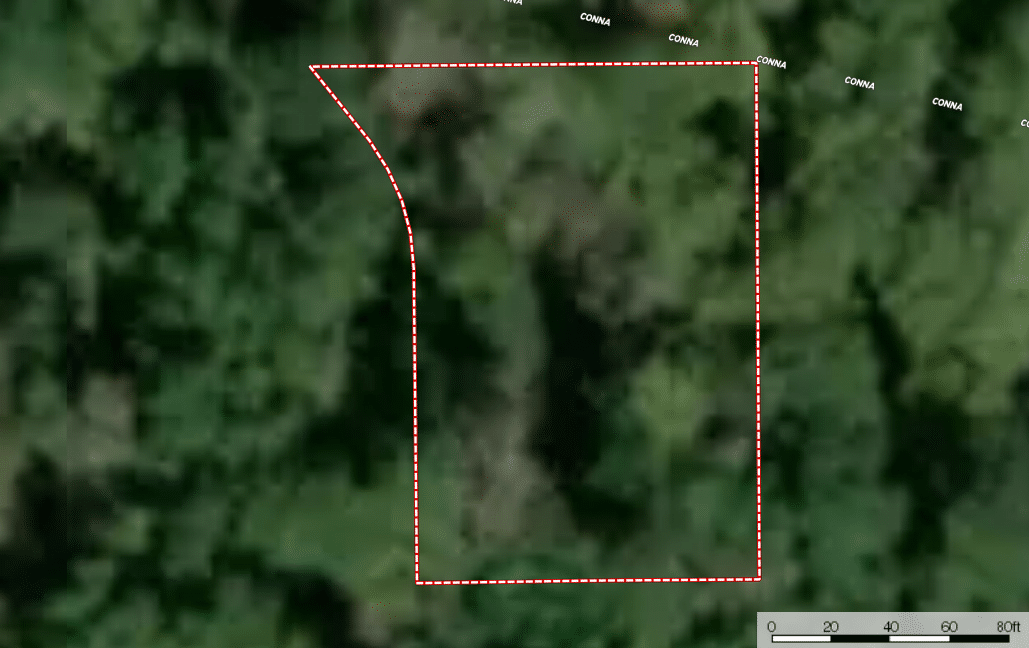 Piney Woods Homesite! 0.36 Acres For Your Private Getaway Remarkable