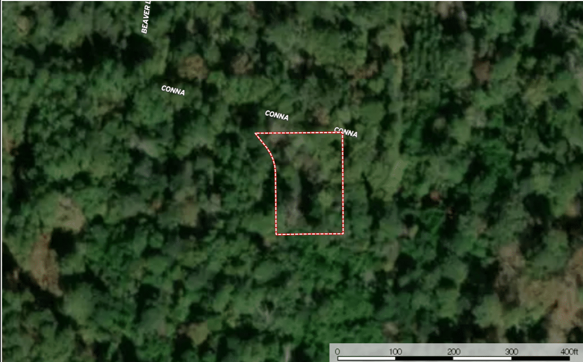 Piney Woods Homesite! 0.36 Acres For Your Private Getaway Remarkable