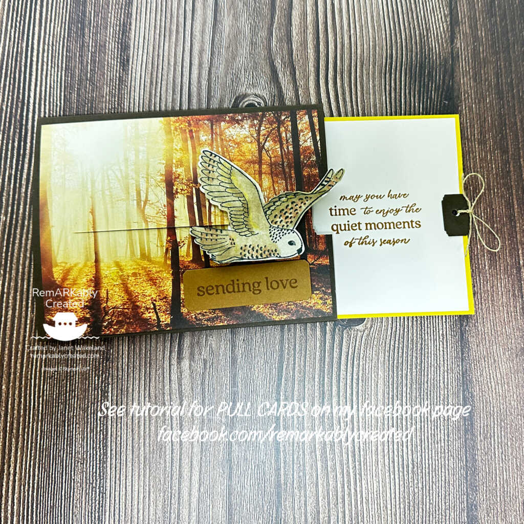 Quick & Easy Interactive Pull Card with Stampin' UP! products