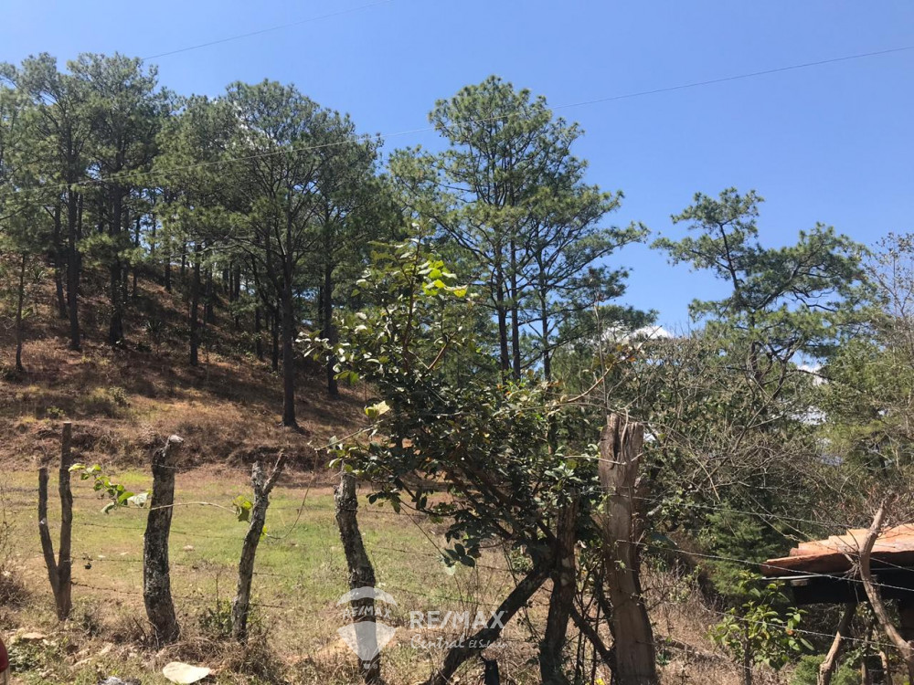 TERRENO EN VENTA EN SAN IGNACIO CHALATENANGO — Propiedades — RE/MAX Central El Salvador